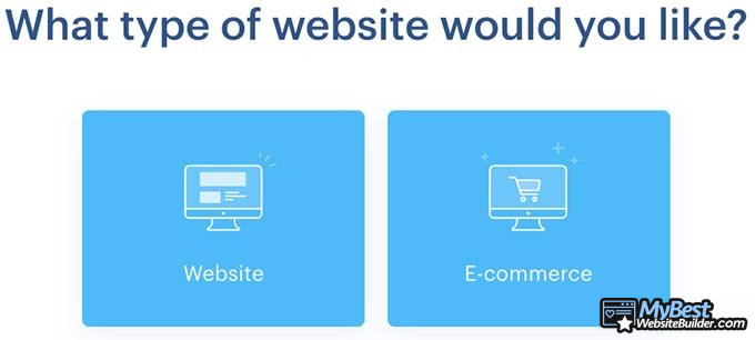 Đánh giá Webnode: Loại trang web.